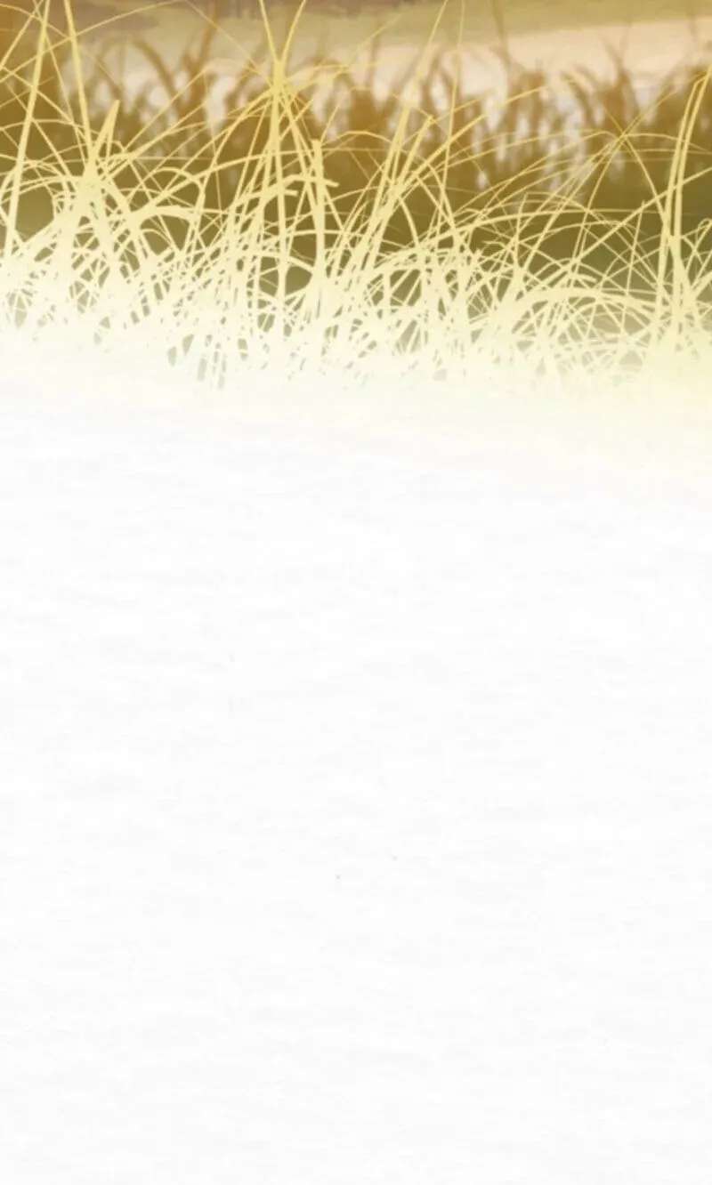 Dal Dal Chapter 37 - page 72