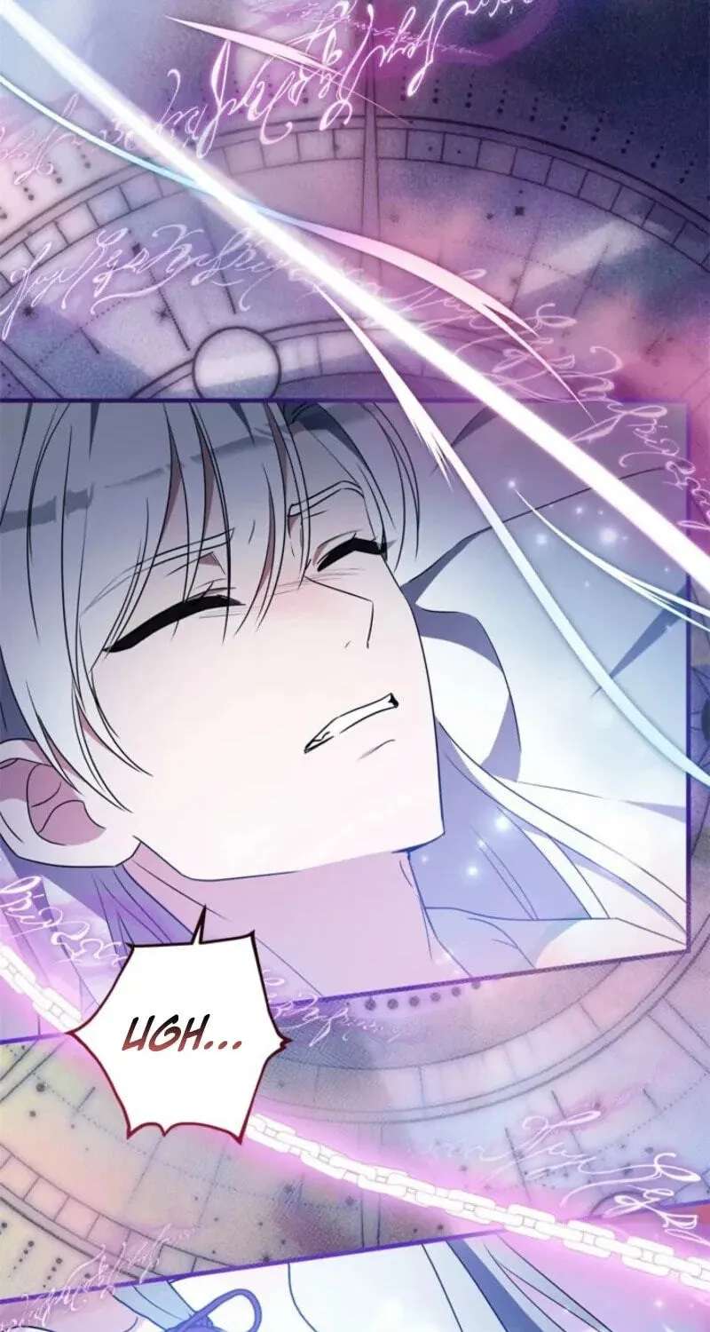 The Count's Beloved Contract Young Lady Chapter 43 - page 65