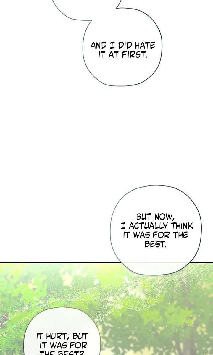 The Archduke's Fabulous Fake Marriage Chapter 118 - page 19
