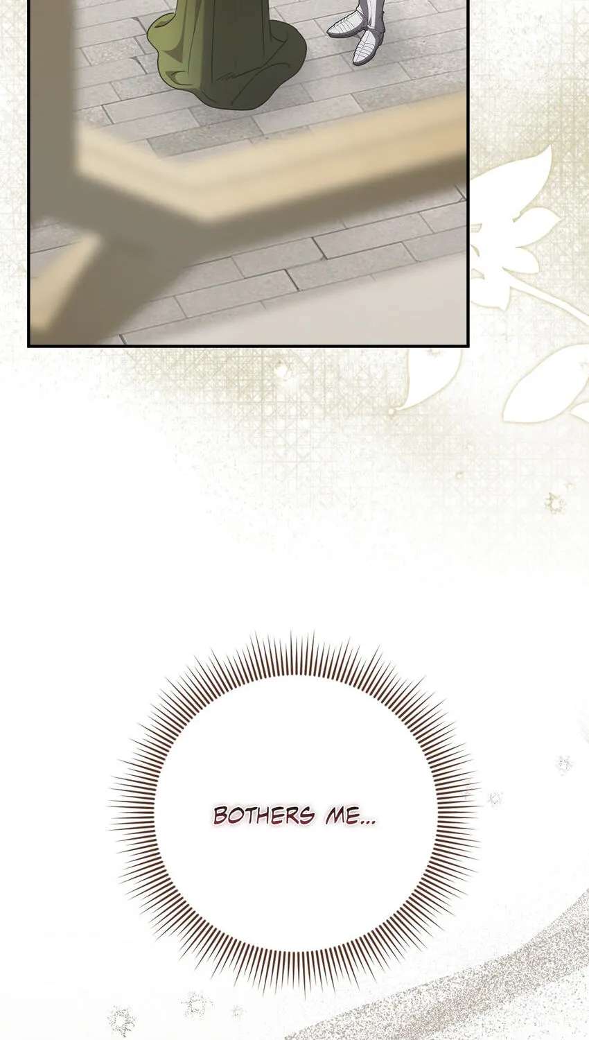 Once an Assassin, Now a Royal Nanny Chapter 34 - page 29