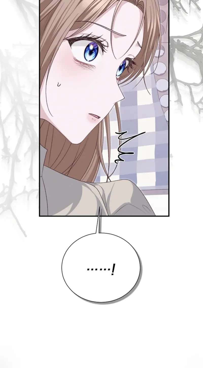When Cinderella's Magic Fades Away Chapter 106 - page 22