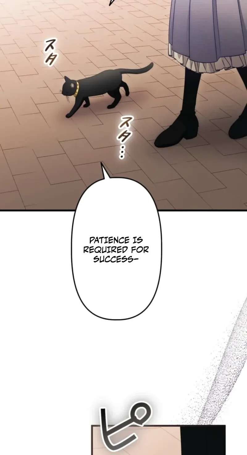 I Was a Black Mage Who Was Condemned, but Now I'm Being Loved After Going Back in Time?! Chapter 21 - page 47