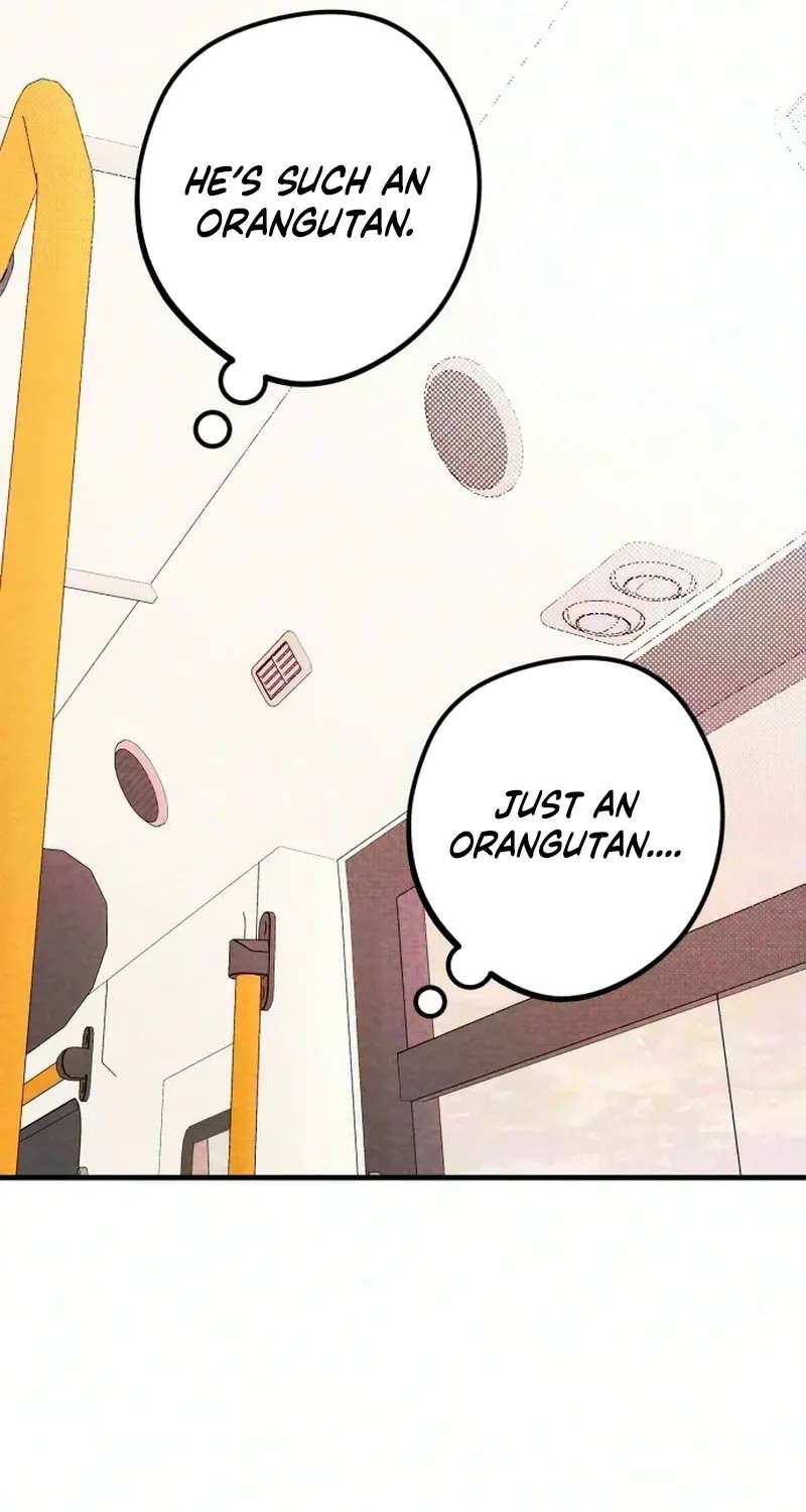 The Perfect Senior's Secret! Chapter 24 - page 34