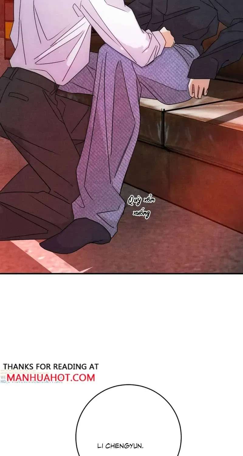 Transmigrated into the Golden Goose of the Alpha Big Boss Chapter 62 - page 14