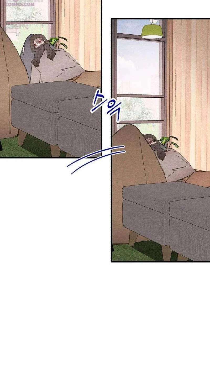 Perfect Senior’s Hide! Chapter 32 - page 31