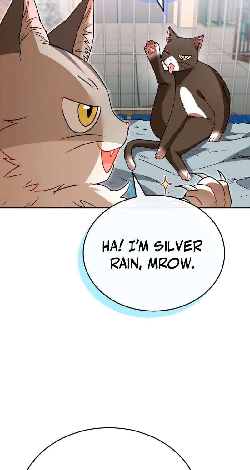 Hello, Mr. Veterinarian! Chapter 146 - page 35