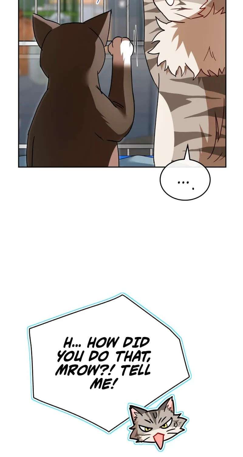 Hello, Mr. Veterinarian! Chapter 146 - page 67