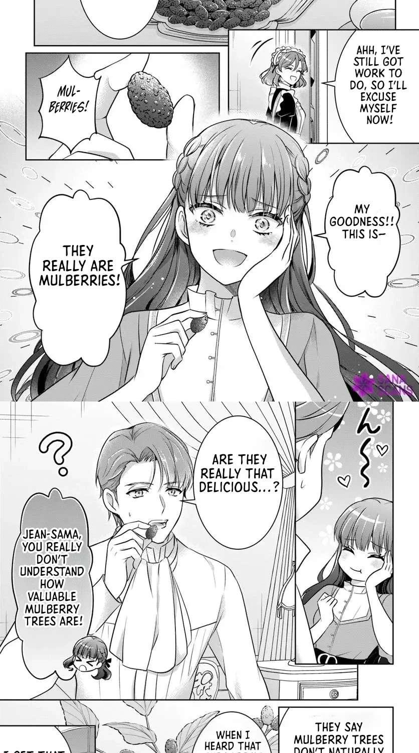 Kanpeki Reijo Kurarisha No Kagayaki Wa Gyakkyo Nanka Ja Kumoranai Konyaku Haki Sarete Mo Jiriki De Shiawase Otsukameba Yoi Node Wa? Chapter 4 - page 17