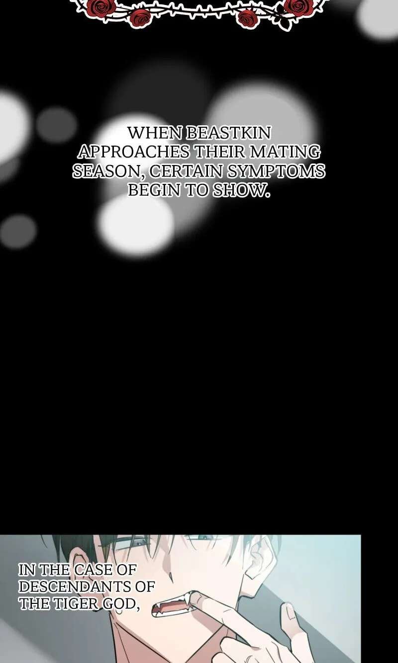 Give Birth to a Baby Wildcat for Me, Unless You Want to See Me Go Insane! Chapter 37 - page 2