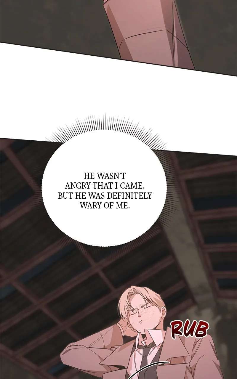 Where the Golden Rose was Plucked Chapter 45 - page 19