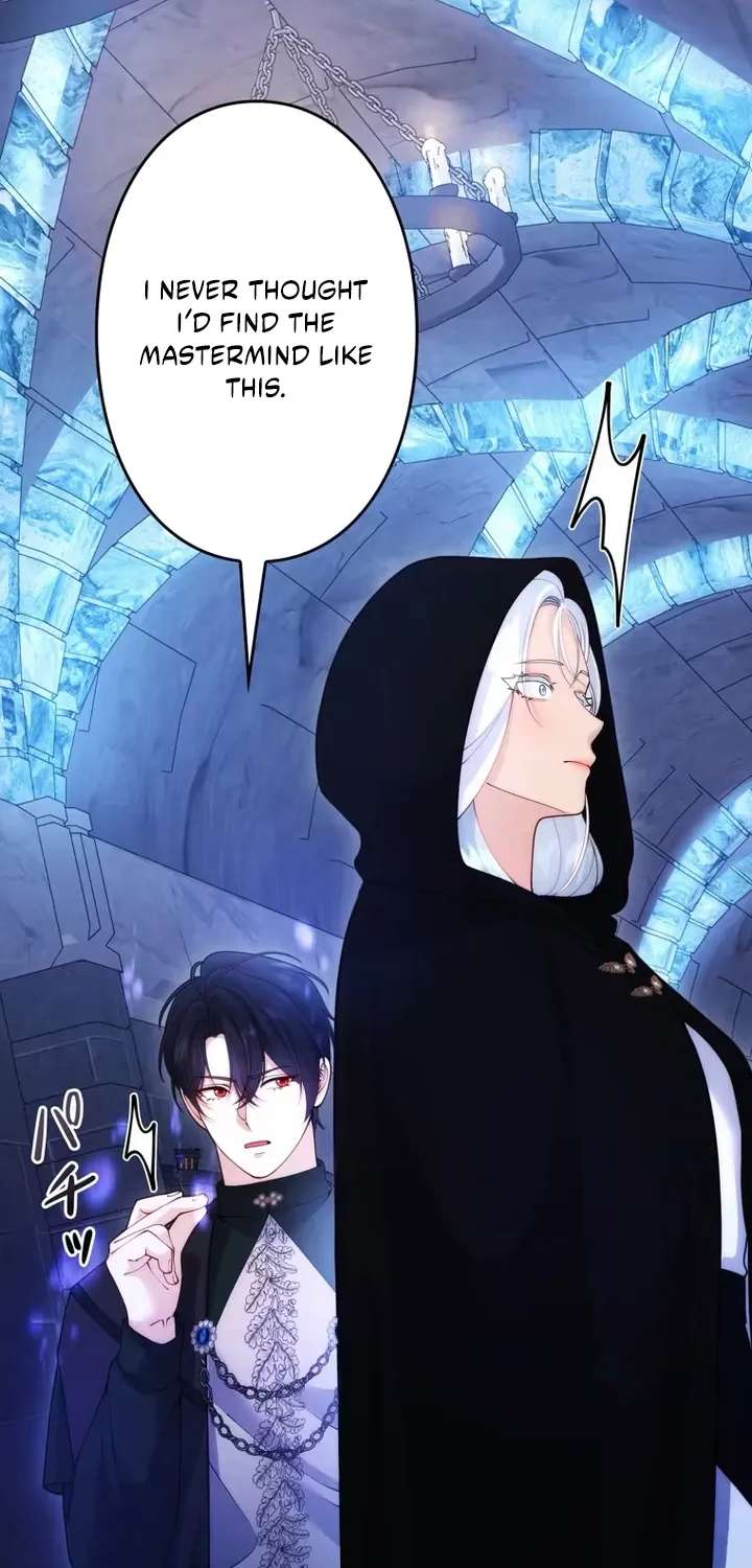 The System Error Princess Chapter 52 - page 15