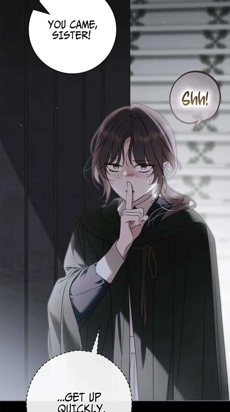 The Count's Secret Maid Chapter 106 - page 77