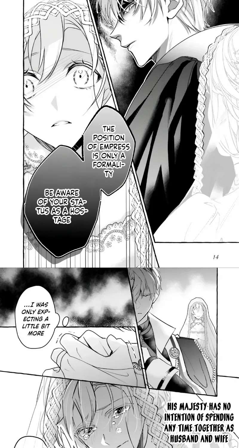 The Ruthless Emperor Is Doting on the Hostage Princess Chapter 1 - page 15