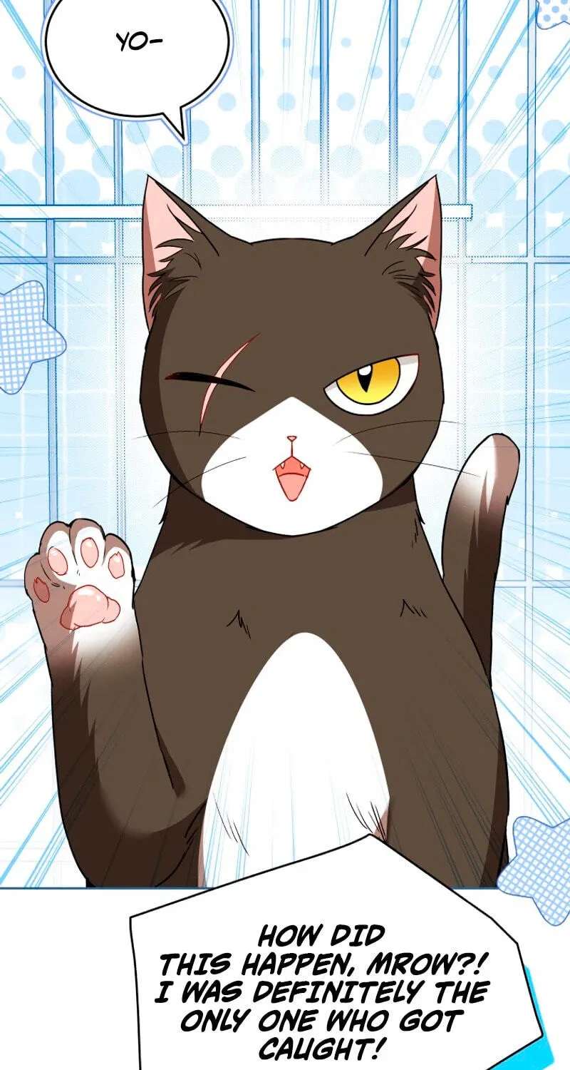 Hello, Mr. Veterinarian! Chapter 146 - page 10