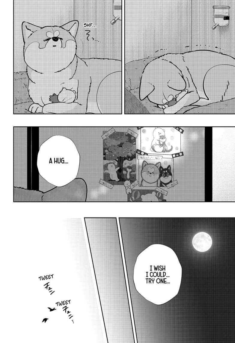 Shiba Inu Rooms Chapter 59 - page 12