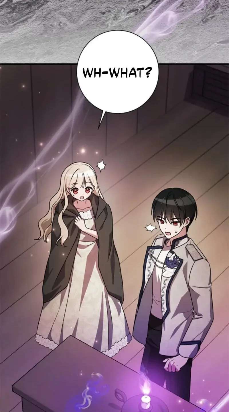 The Count's Beloved Contract Young Lady Chapter 49 - page 61