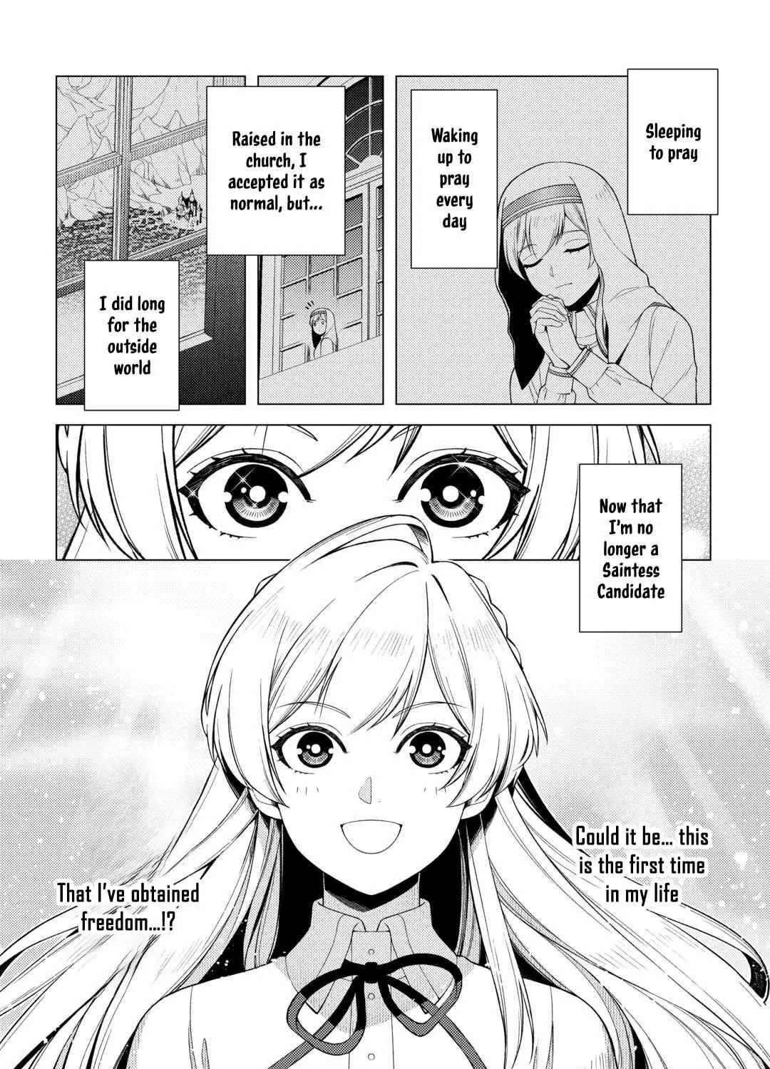I Won’t Go Back to the Church, Even If You Cry and Apologize! Chapter 1 - page 17