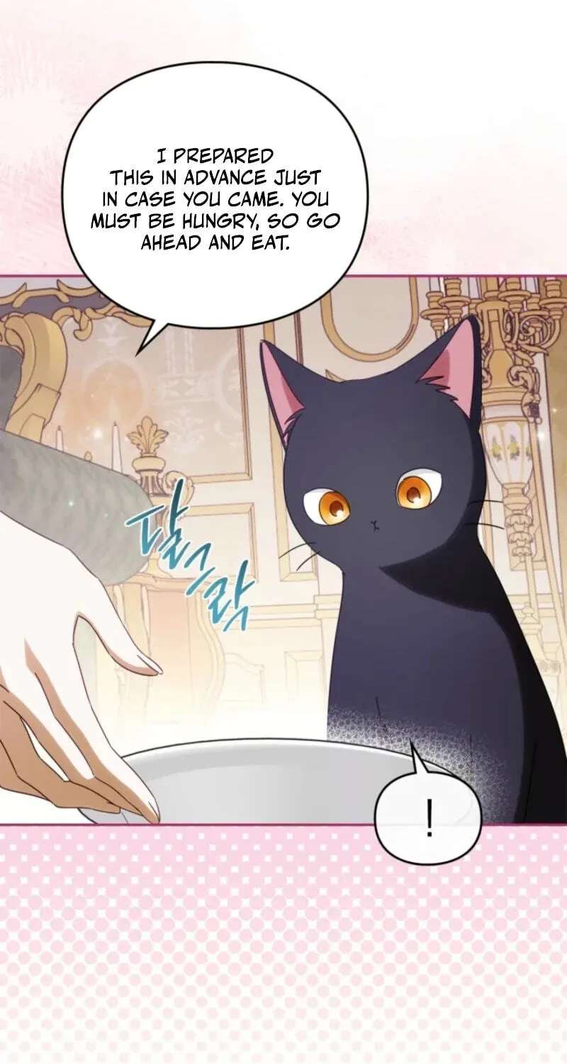 The Search for the Duchess's Husband Chapter 34 - page 69