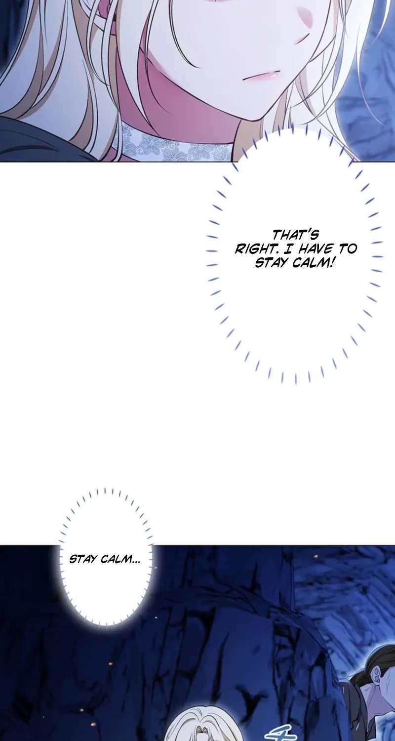 The Enemy King's Substitute Bride Chapter 47 - page 88
