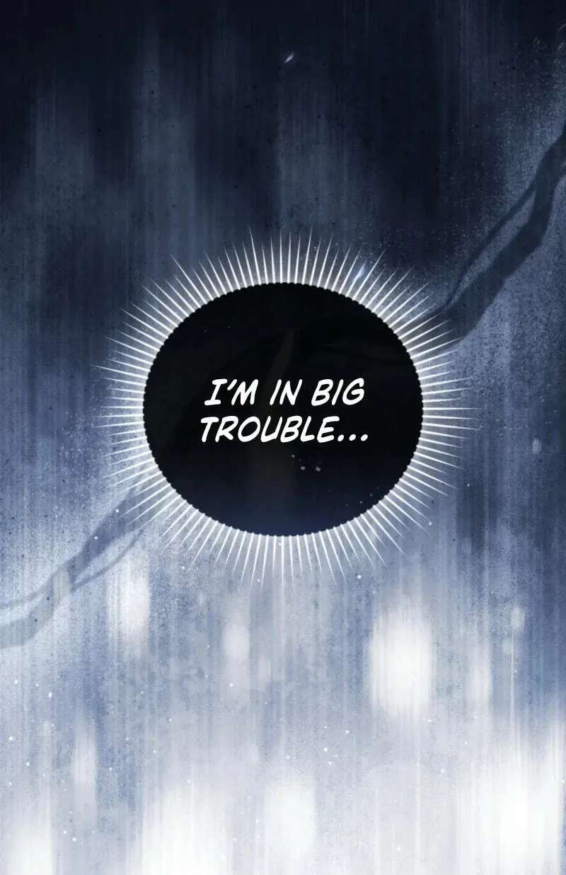 Even if I Hide My Power, the Noble Lady Is the Strongest Chapter 46 - page 91