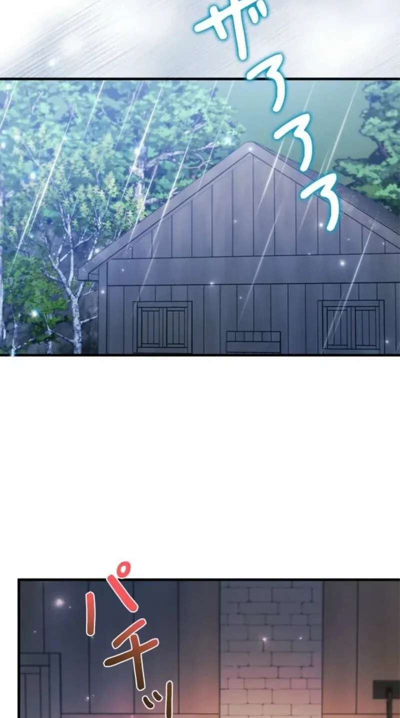 The Count's Beloved Contract Young Lady Chapter 49 - page 42