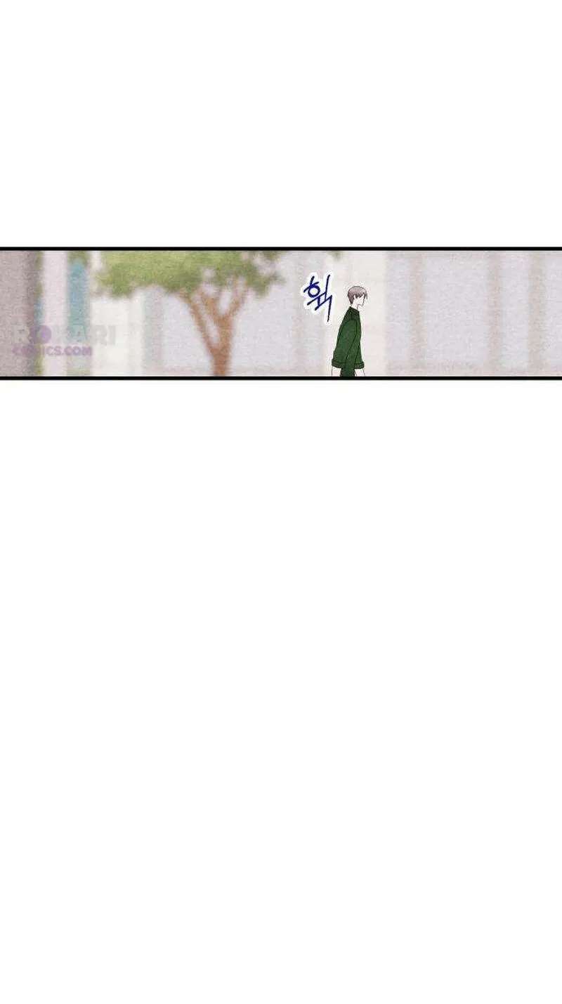 The Perfect Senior's Secret! Chapter 31 - page 29