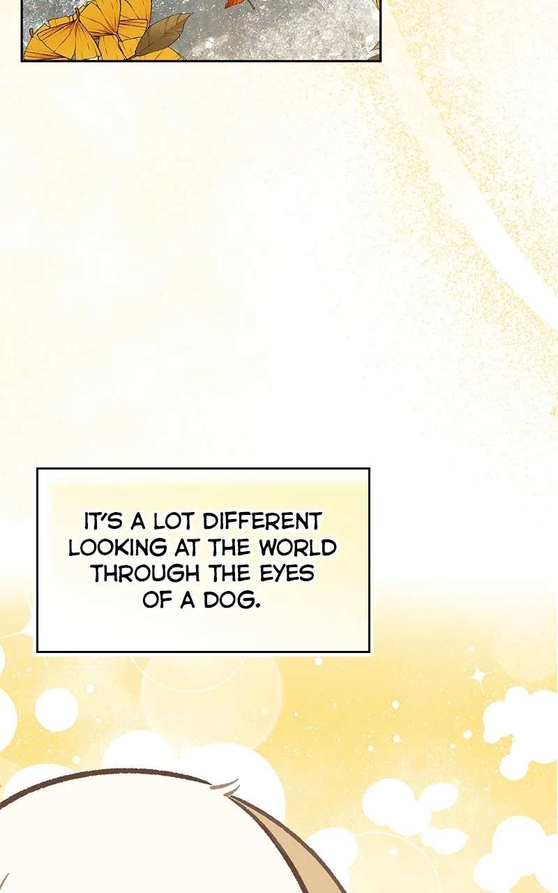 Woke Up as the CEO’s Dog Chapter 56 - page 4