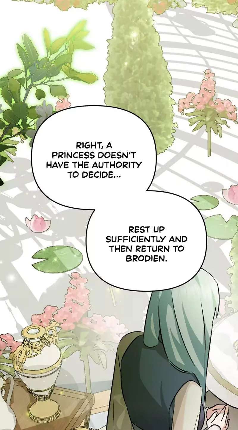 I Reincarnated as the Princess of a Country That Is Going to Destroyed by Male Protagonist Chapter 29 - page 17