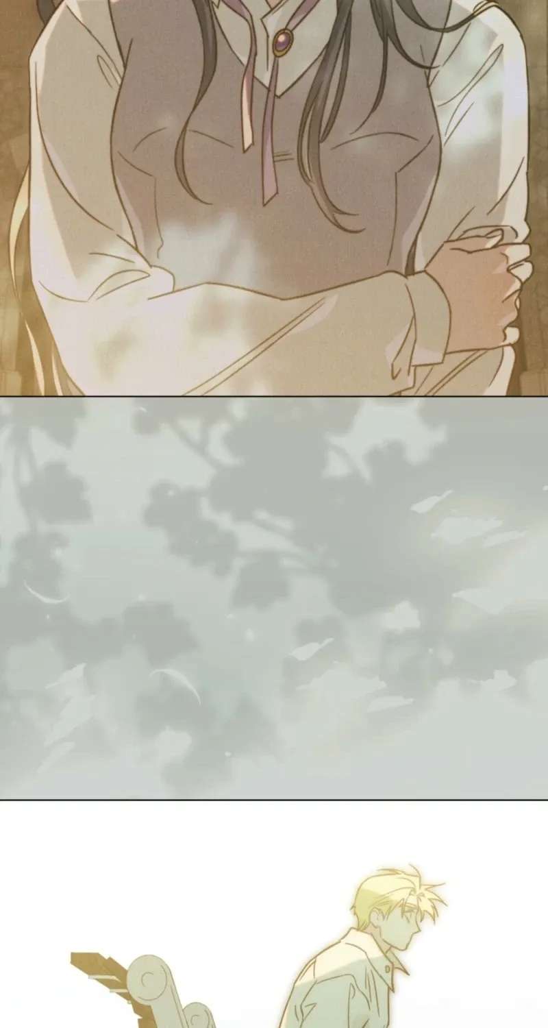 The Butterfly That Swallowed the Mist Chapter 41 - page 14