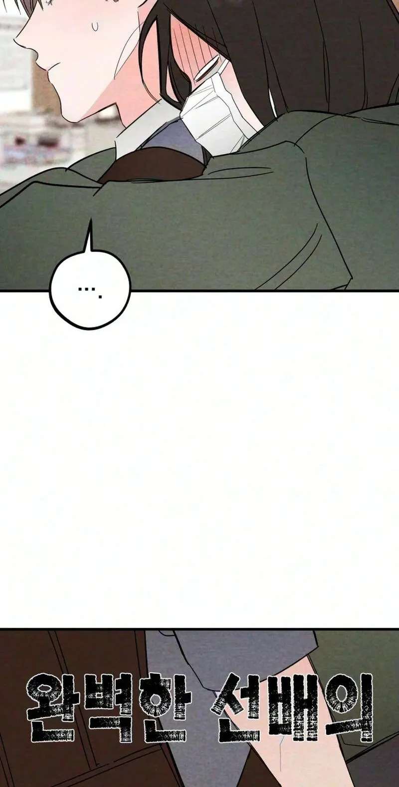 The Perfect Senior's Secret! Chapter 25 - page 5