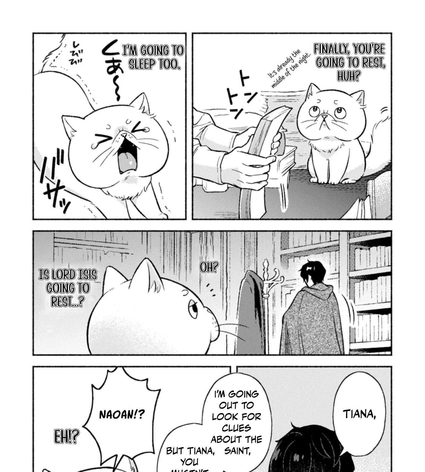 Nekura Kishi ni Yoru Dekiai Mankitsu-chuu nu Busa Neko, Jitsu wa Seijo desu! Chapter 4 - page 29