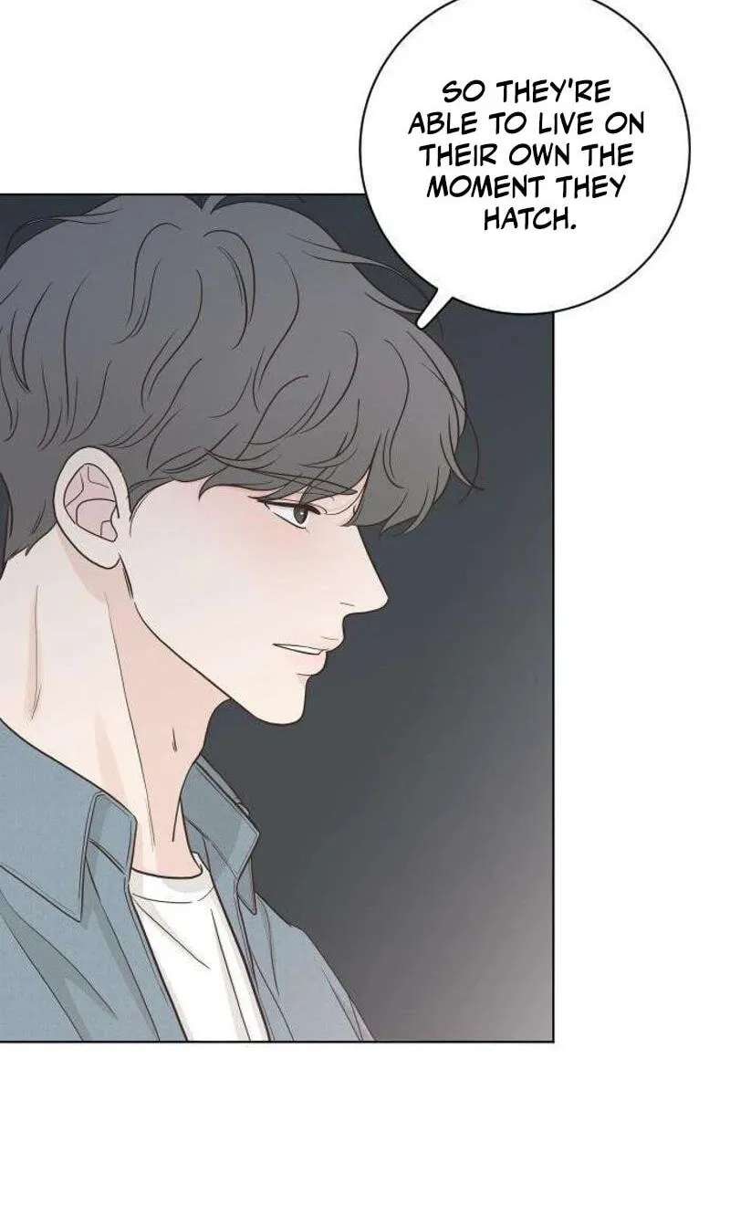 I'm Your Revenge Chapter 21 - page 13