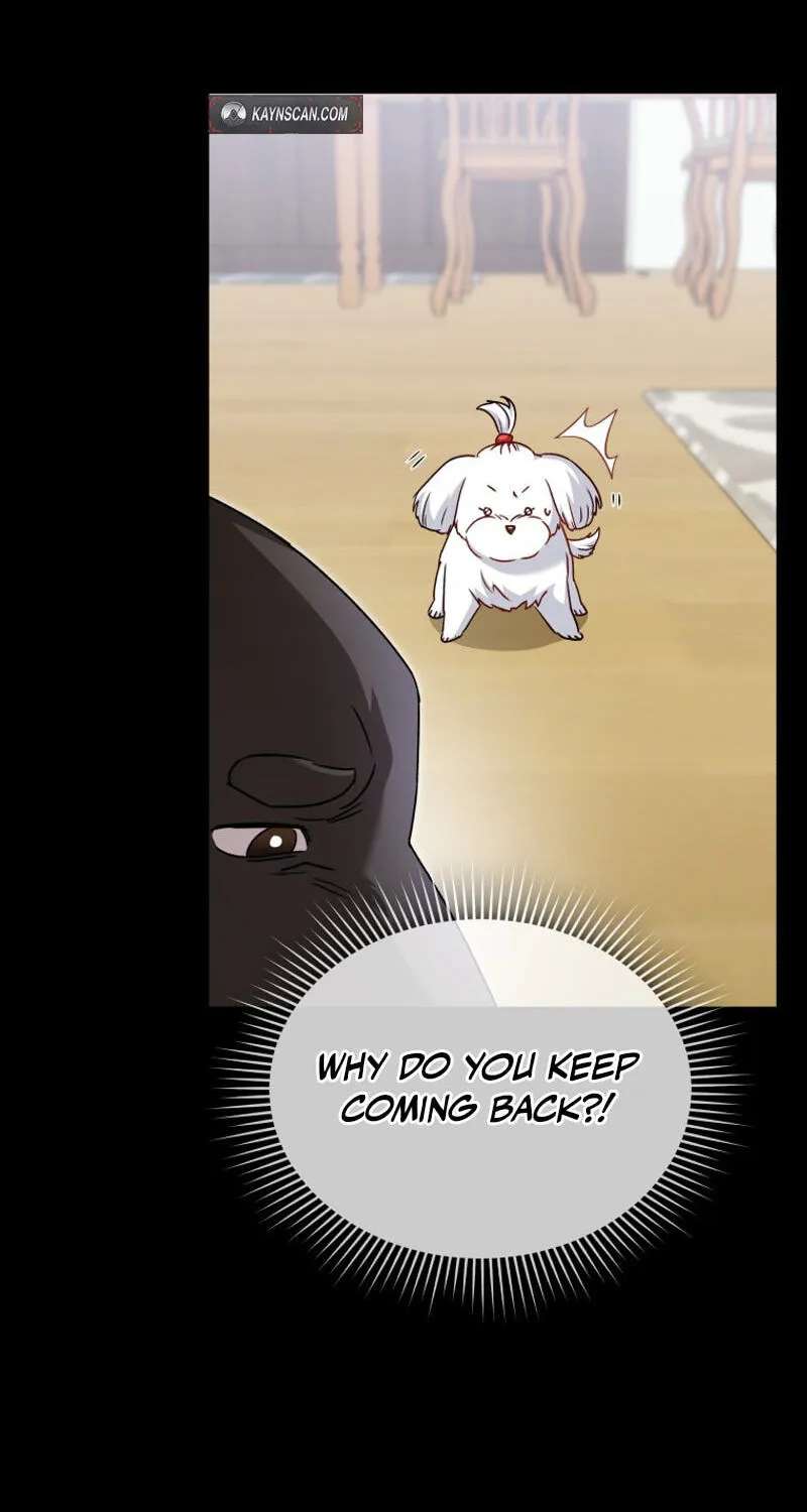 Hello, Mr. Veterinarian! Chapter 145 - page 30