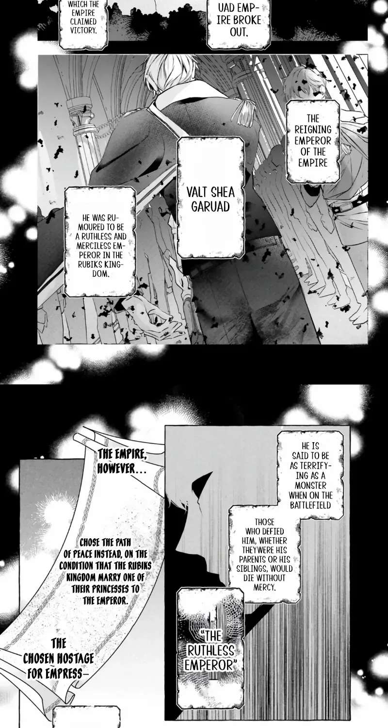 The Ruthless Emperor Is Doting on the Hostage Princess Chapter 1 - page 9