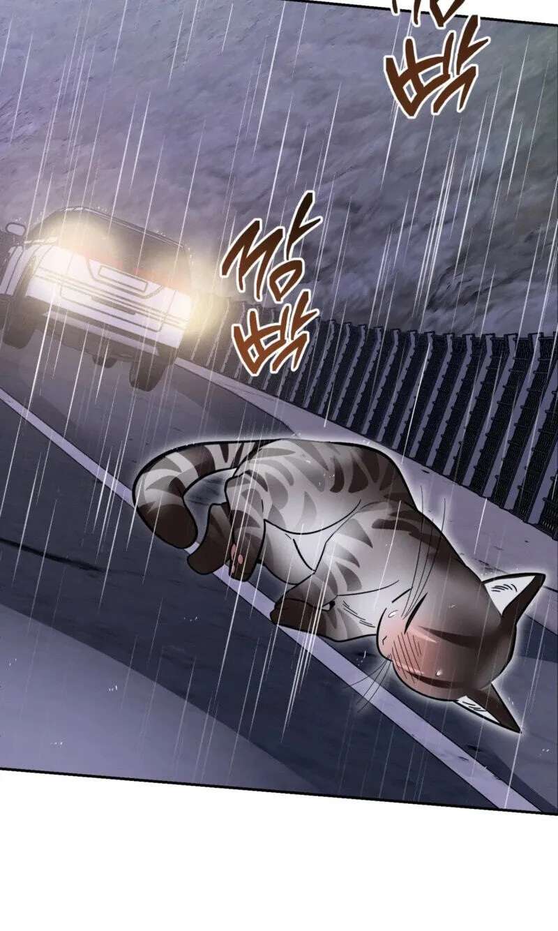 Give Birth to a Baby Wildcat for Me, Unless You Want to See Me Go Insane! Chapter 38 - page 109