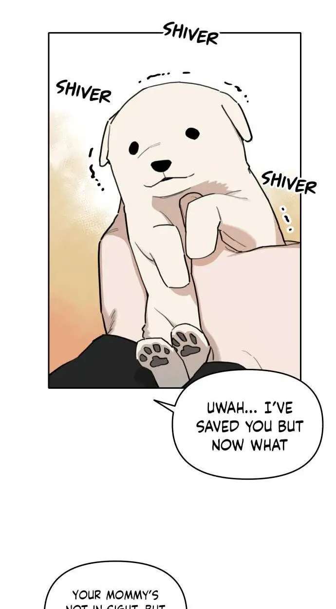 Tiger Coming In Chapter 146 - page 14