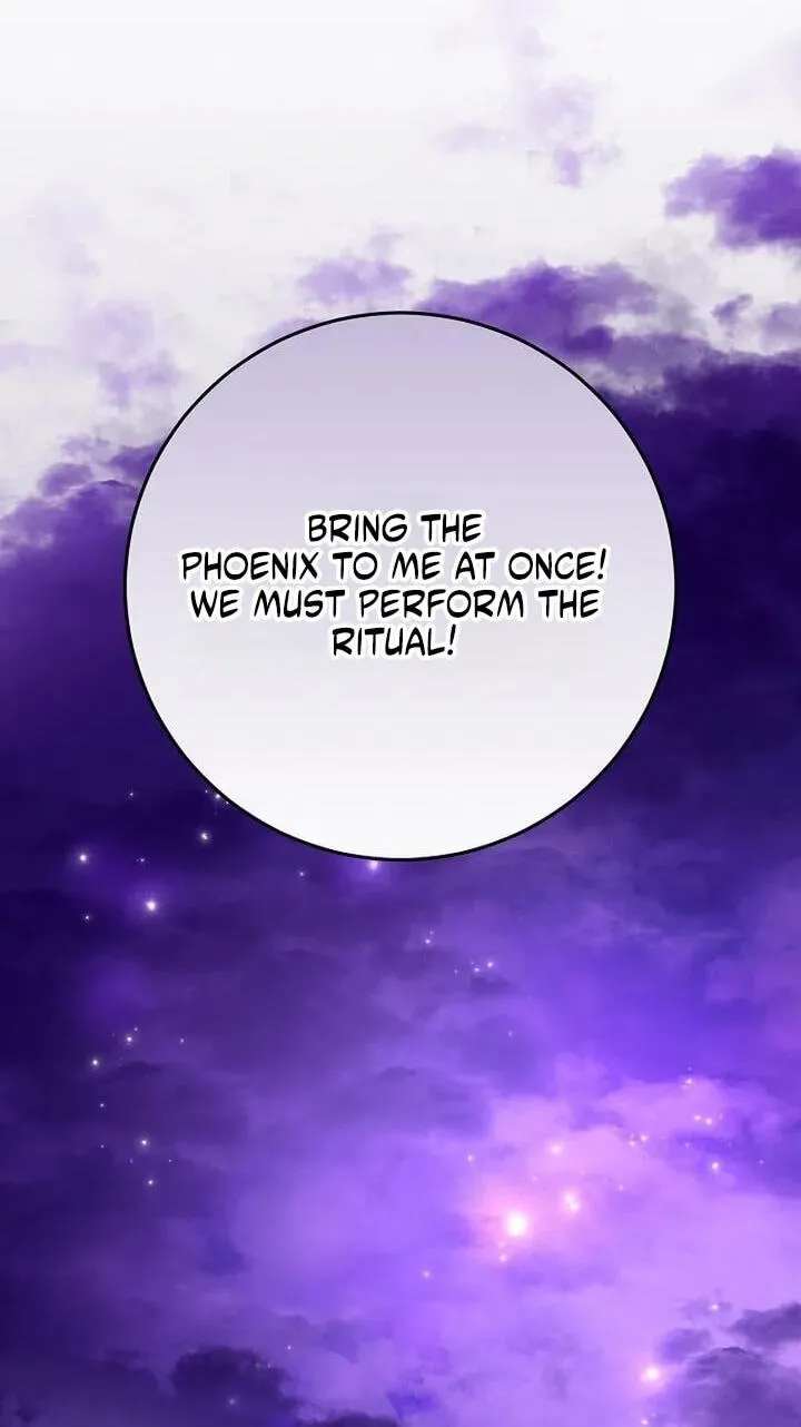 Little Red Baby Bird Chapter 86 - page 46