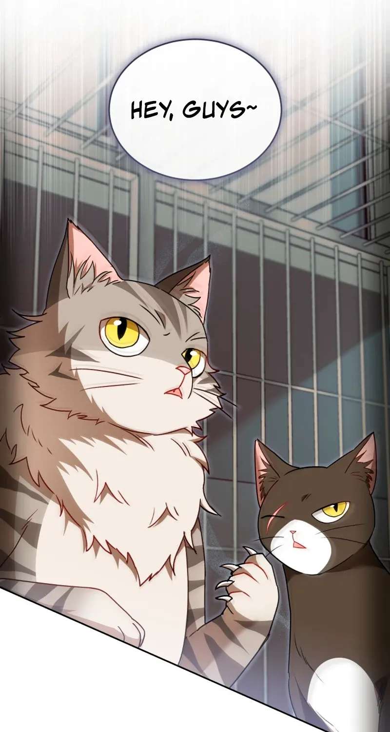 Hello! Veterinarian! Chapter 146 - page 40