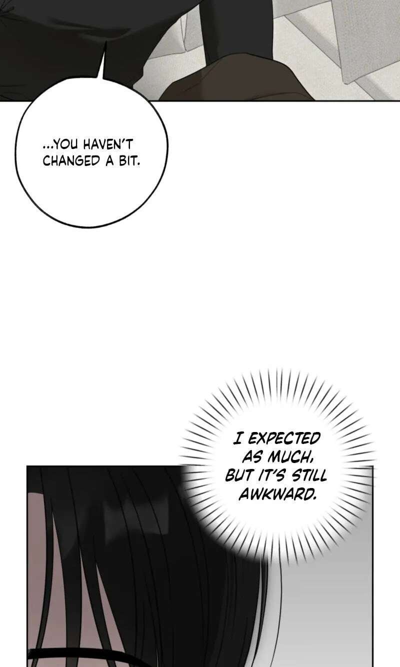 The Purrfect Match Chapter 45 - page 13
