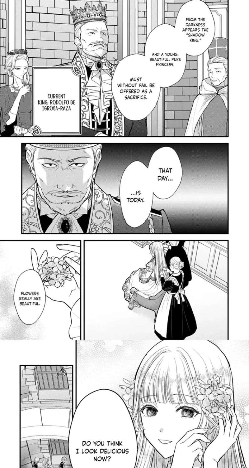 The Happiness of the Sacrificial Princess ~The Lonely Sacrificial Girl Becomes the Bride of the Demon King~ Chapter 1 - page 22