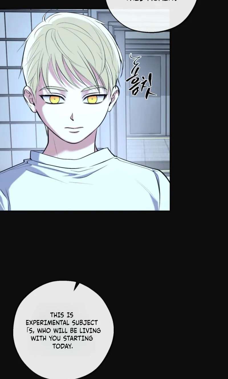 Dawning Light Chapter 33 - page 18