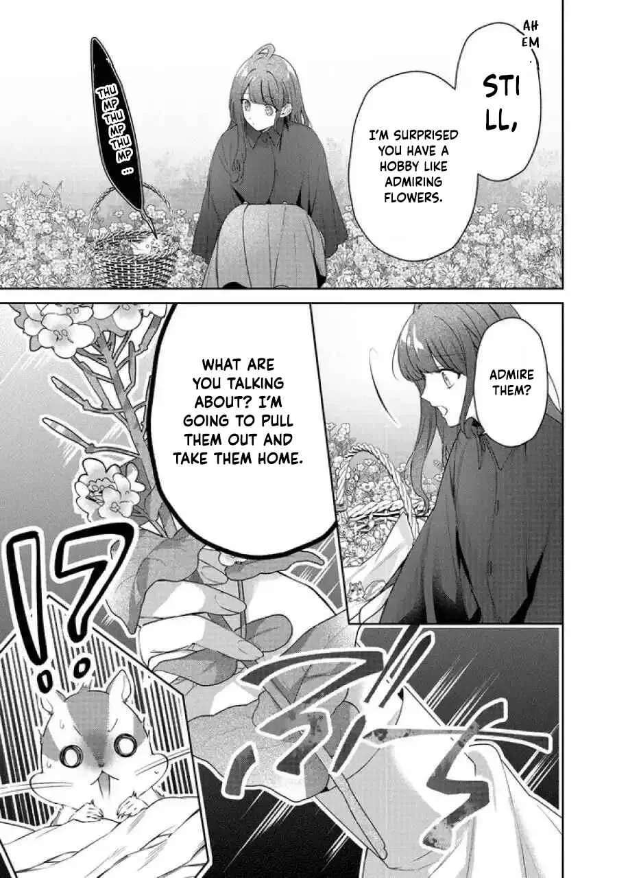My Fiancé, Who Used to Hate Me, Turned into a Squirrel and Came to Me for Help. Chapter 5 - page 44