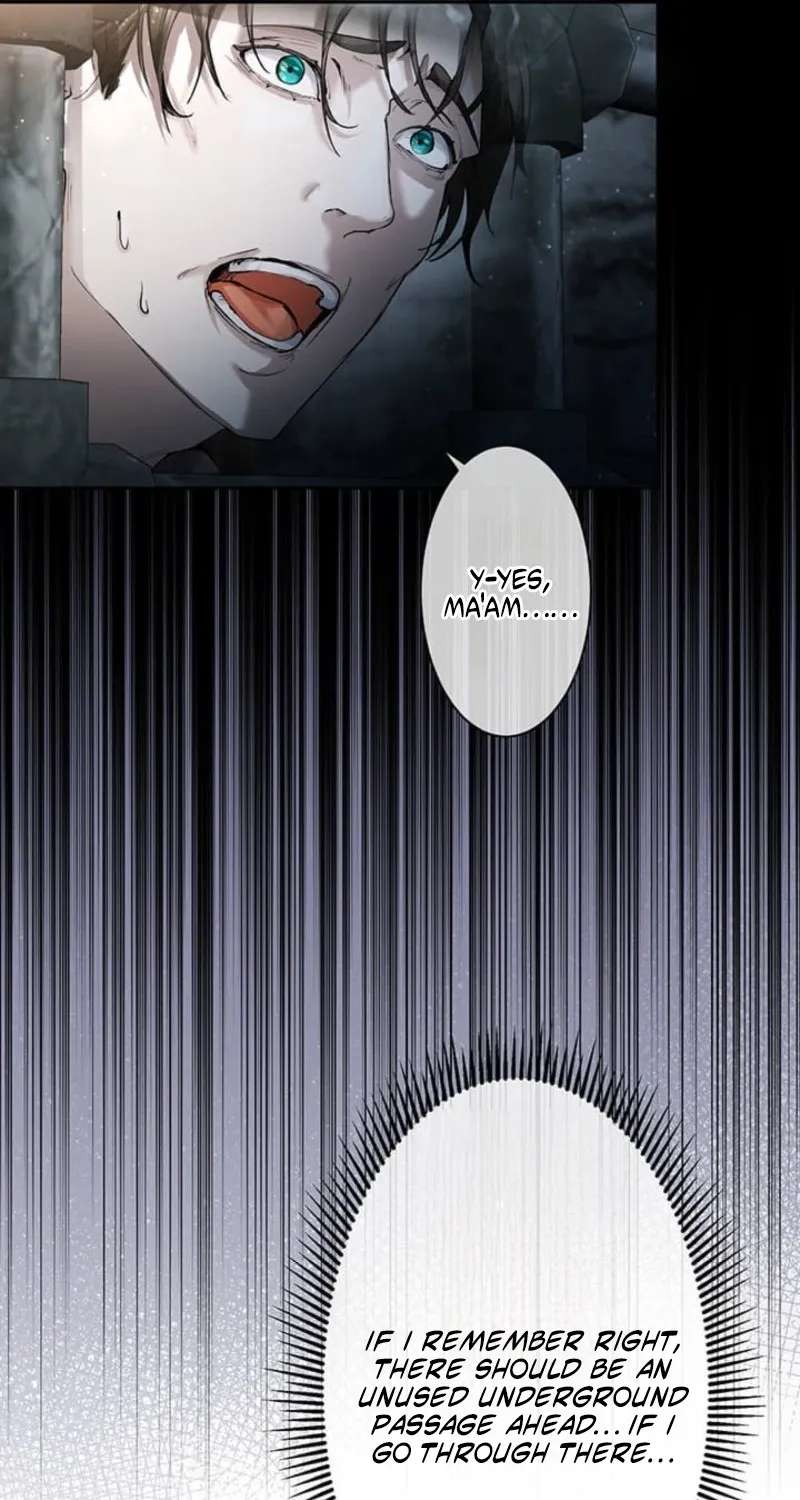A Farewell Revenge for My Beloved Chapter 24 - page 11