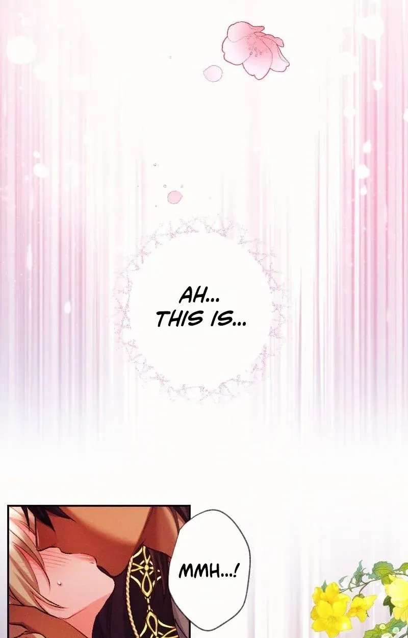 The Princess Abducted to a Land Without Women Chapter 6 - page 35