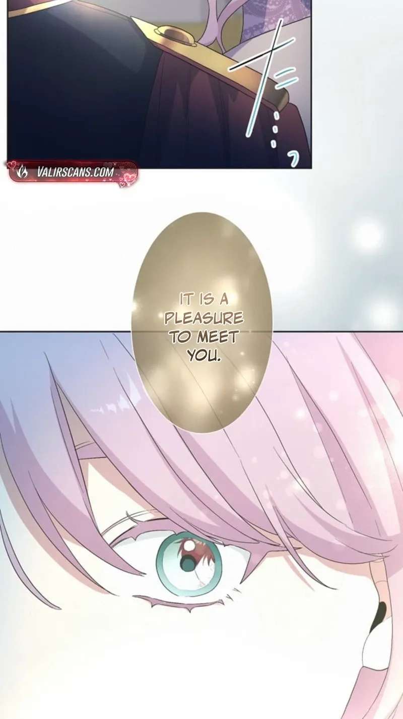 My Favorite Idol Is Protected by His Strongest Fiancée Chapter 28 - page 56