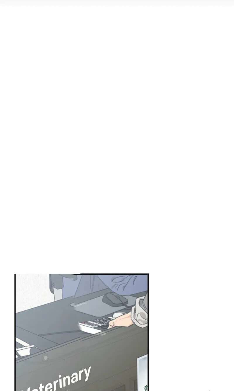 Cat Choice Chapter 29 - page 47