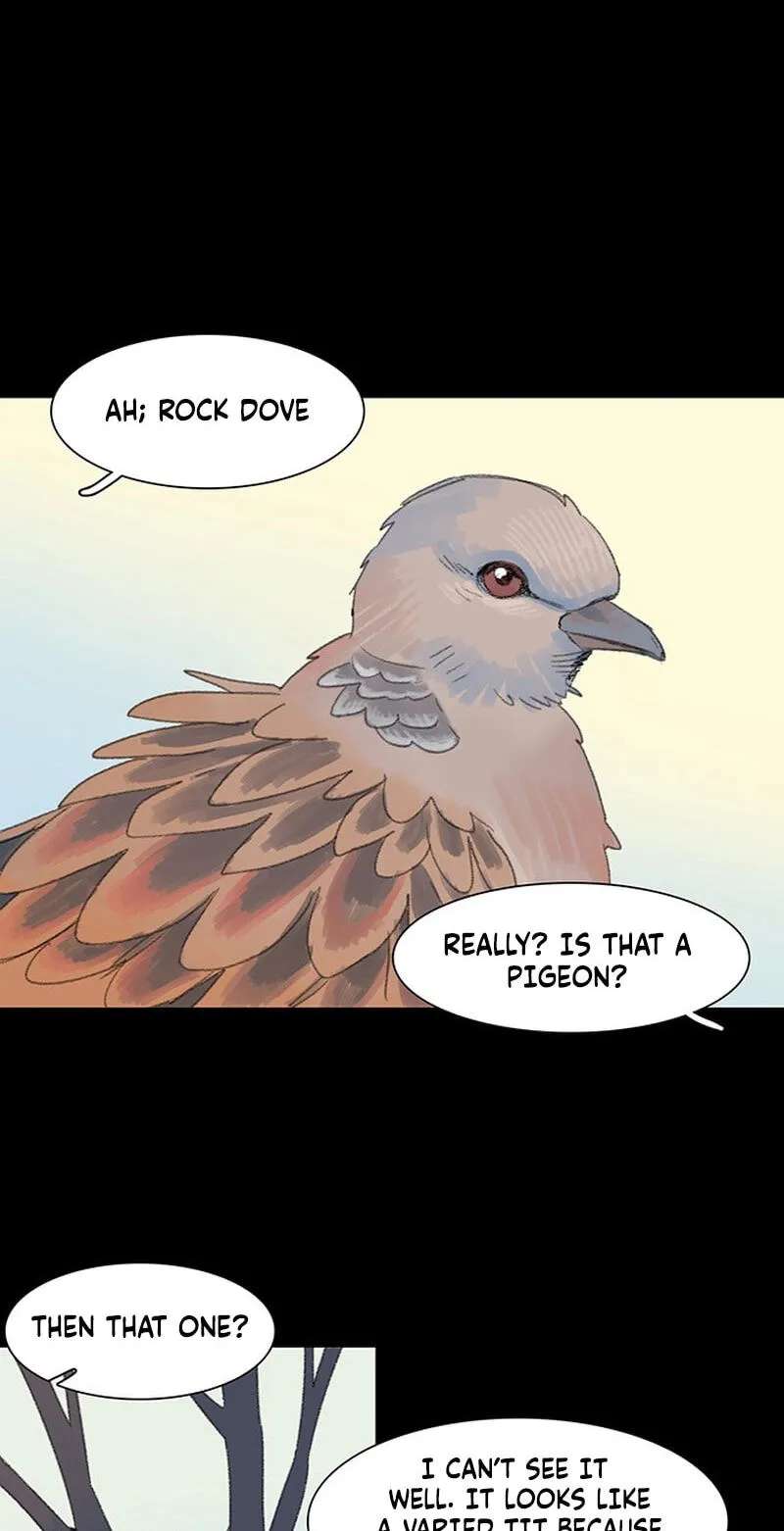 Youth Observation Chapter 1 - page 71