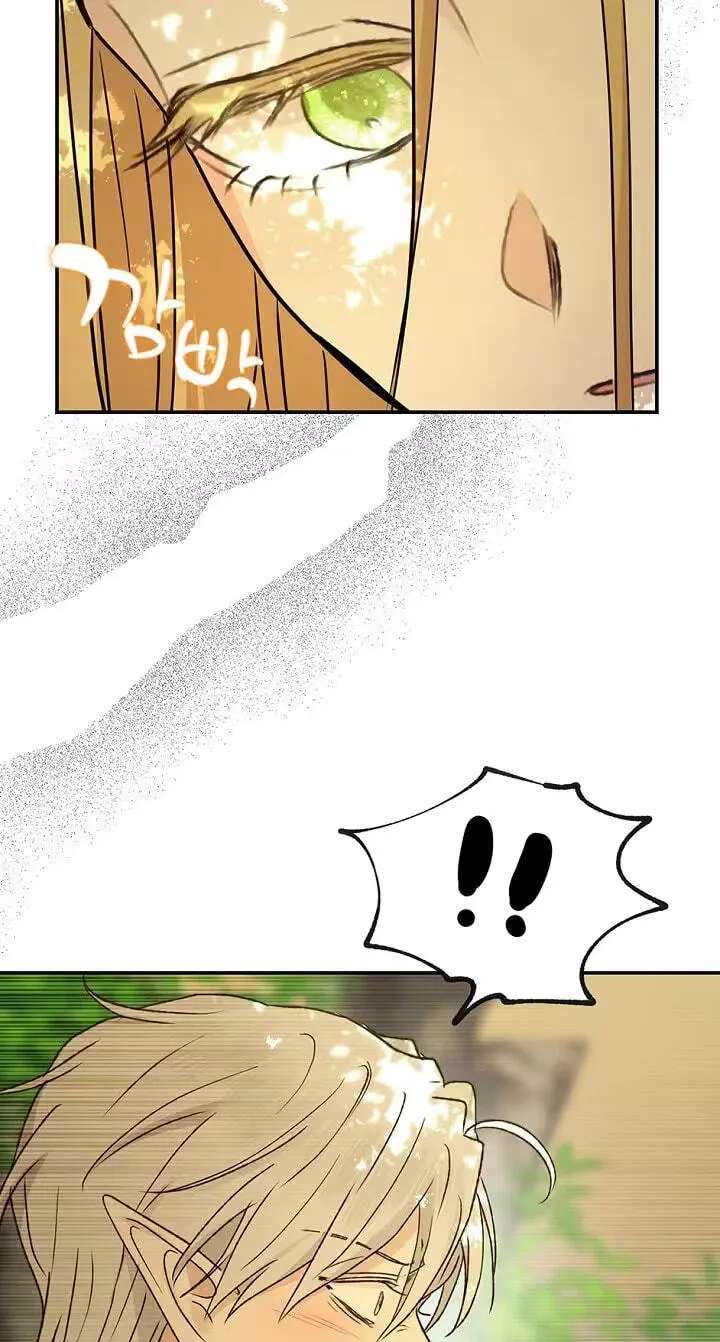 The Mating of Elves Chapter 68 - page 86