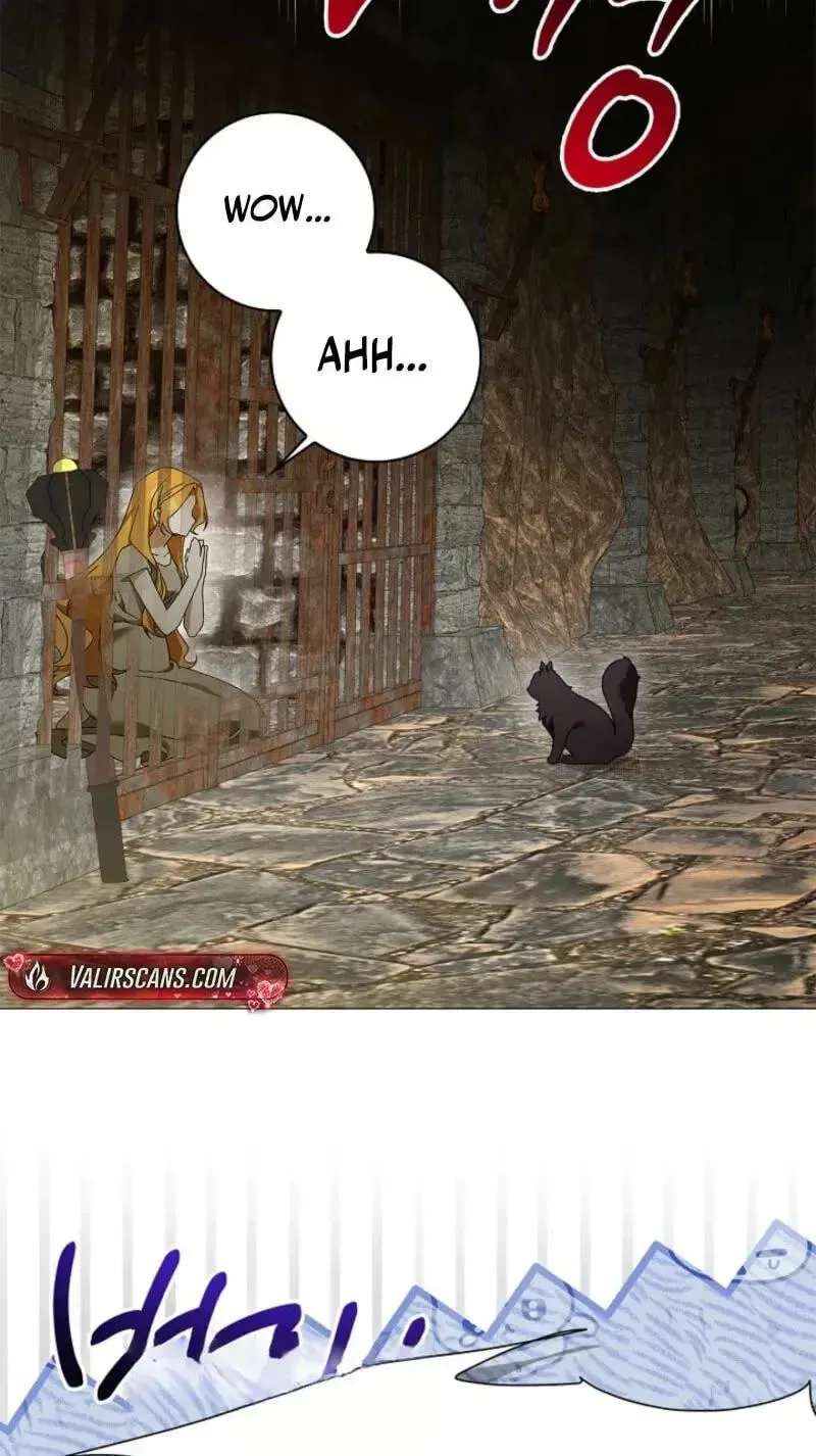 Sub Male Lead, Come to My Bed Chapter 62 - page 5