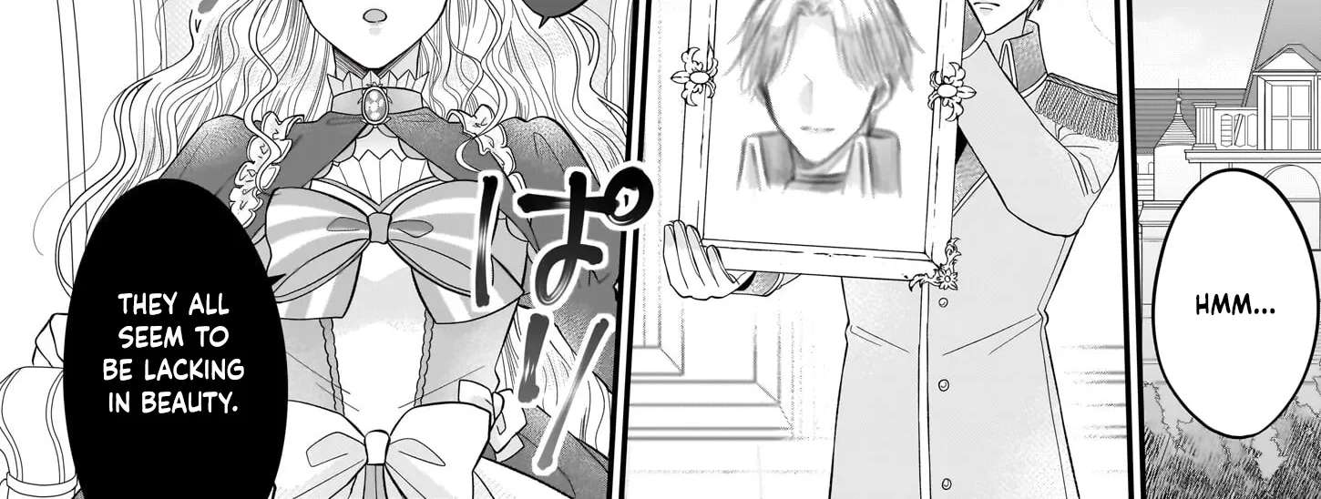 Hakoiri Koujou wa Shikou no Koi wo Onozomi desu! - Risou no Tonogata wo Sagasu Tabi ni Demasu. Tadashi, Utsukushisha Igai Mitomemasen!? Chapter 1 - page 34